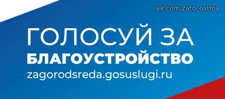 Голосуй за благоустройство